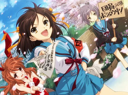 Animera 2008